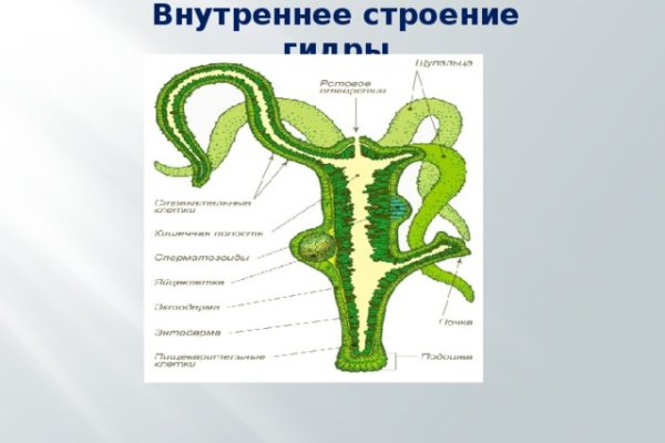 Кракен зайти зеркало