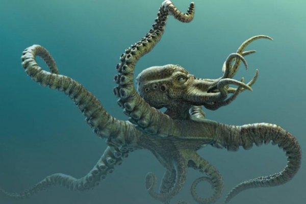 Кракен тор kraken dark