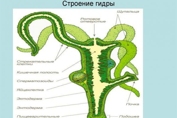 Кракен маркетплейс в питере