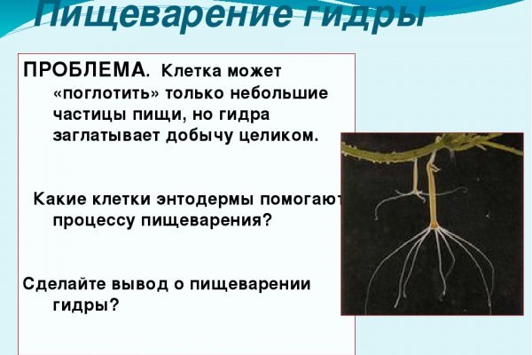 Настоящая ссылка на кракен